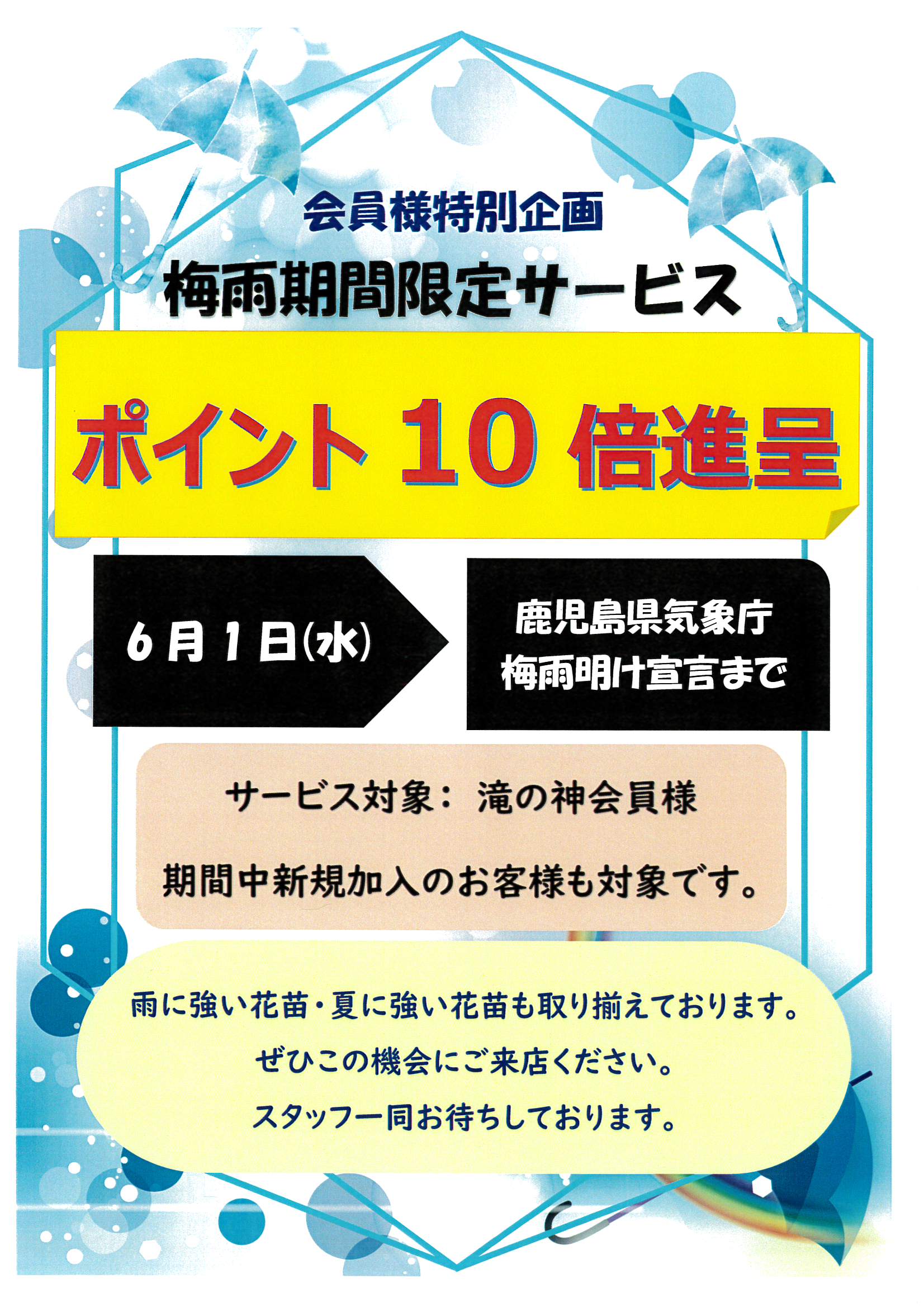 梅雨期間限定 ポイント１０倍 サービス 鹿児島園芸ガーデニング ファーマーズ滝の神